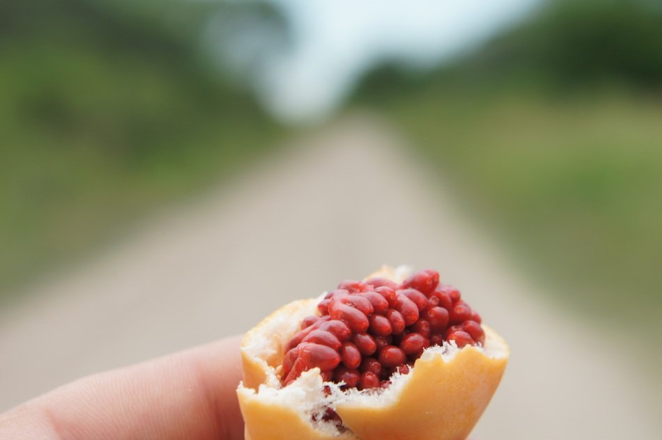 open fruit of passiflora in hand