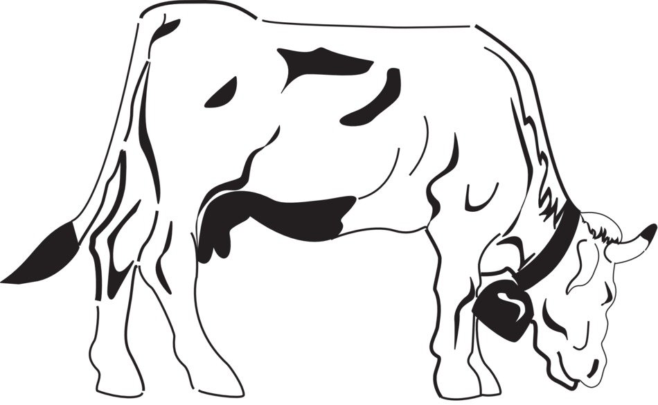 Cow on the grazing clipart
