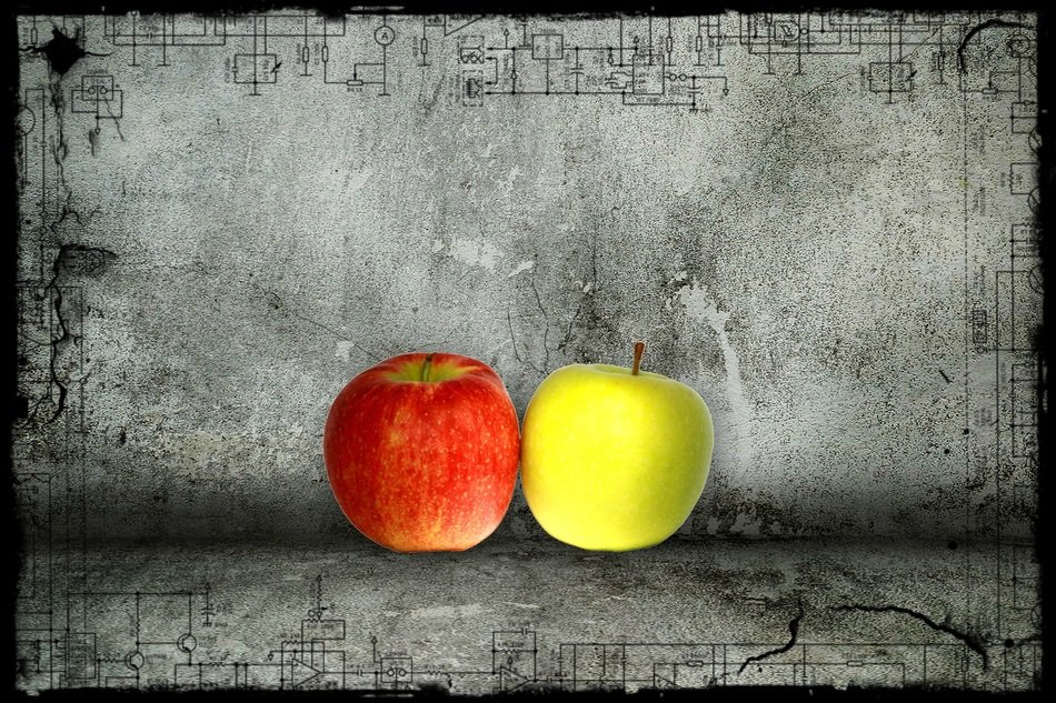 painting of red and yellow apples on grey ground with the frame