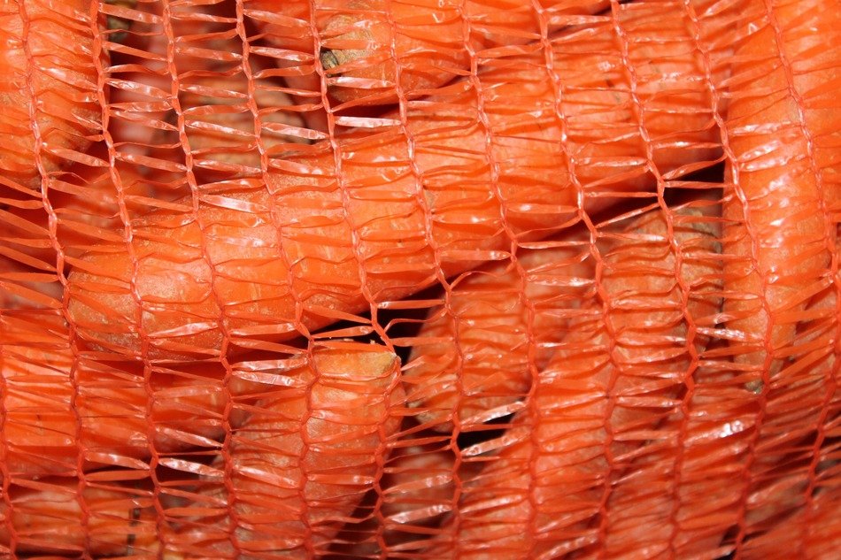 carrots vegetables in the net