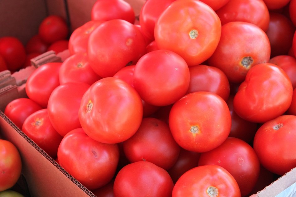 tomato in the cardboard box