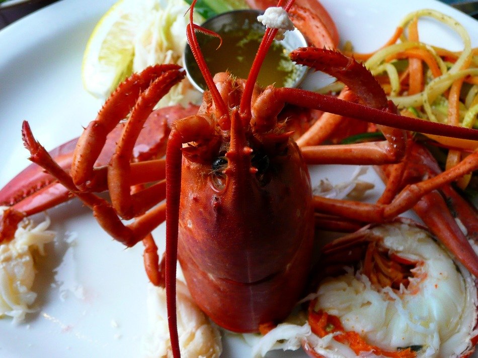 fresh and beautiful lobster