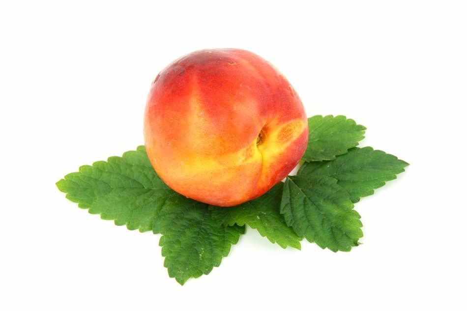 a ripe nectarine on fresh leaves
