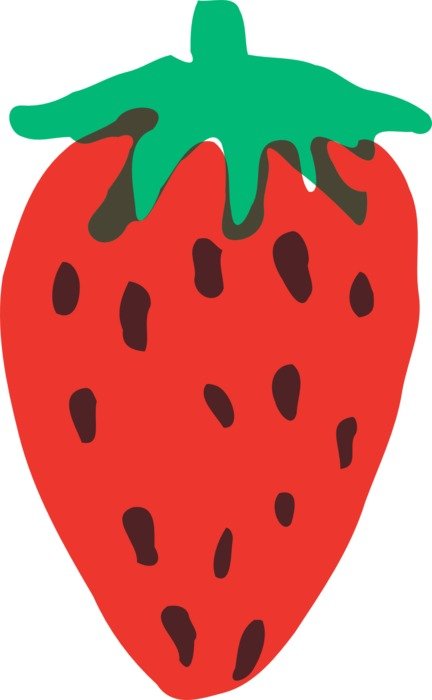 graphic image of oblong strawberry