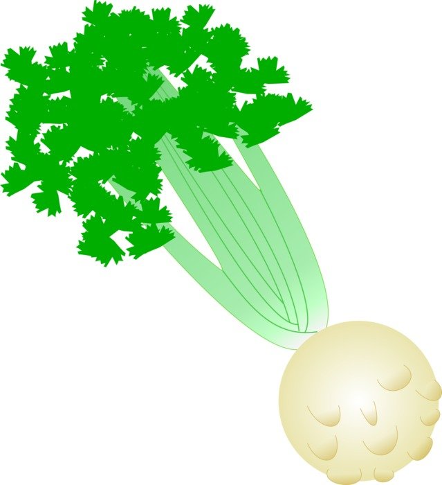 celery as a graphic image