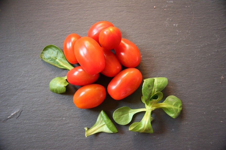 tomatoes with green leaves