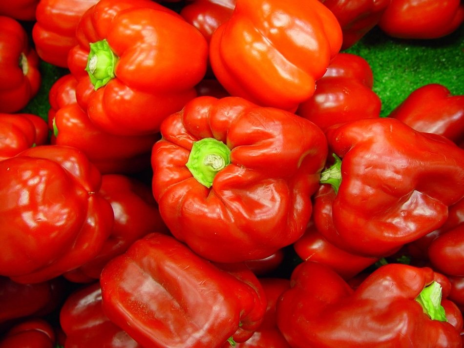 Red bright pepper