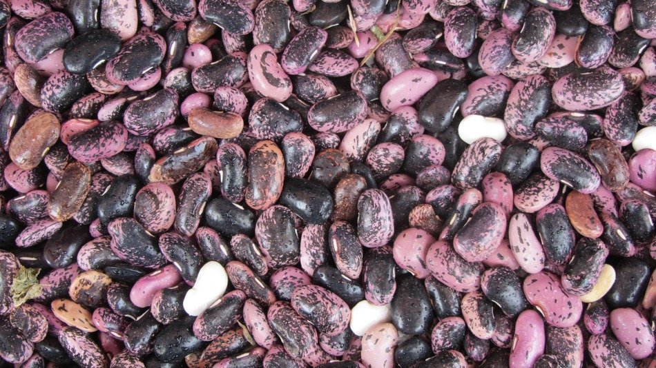 colorful beans on the market