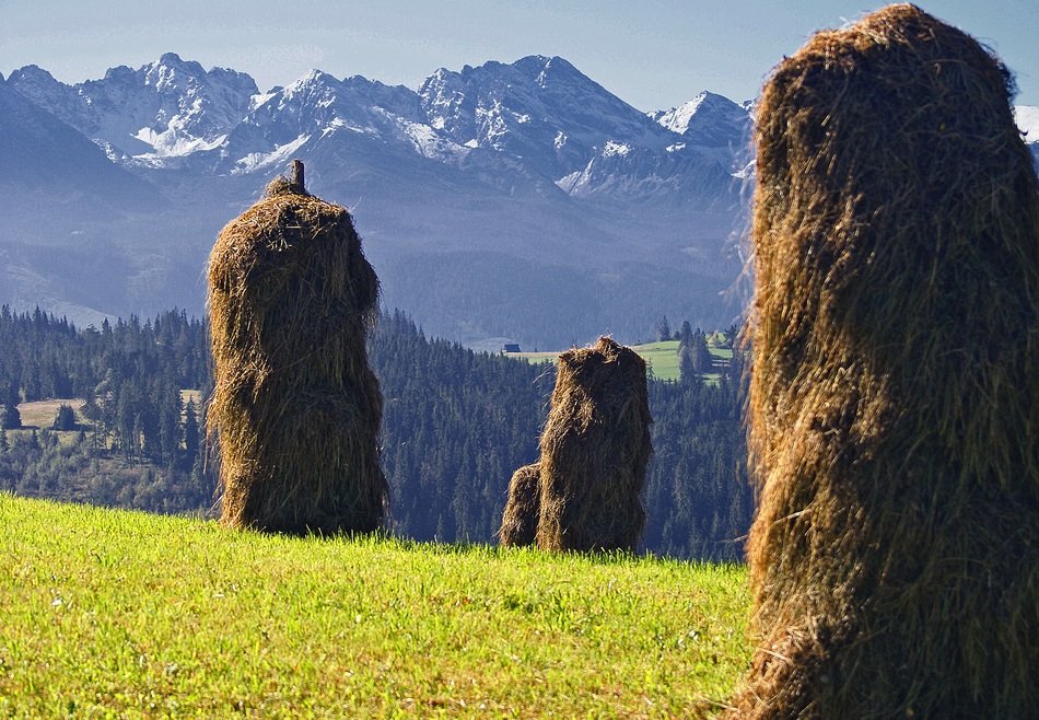 kopki hay on the background of the Polish Tatras