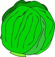 Lettuce Clip Art N38