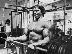 schwarzenegger bodybuilding