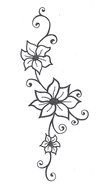 Flower Vine Drawing