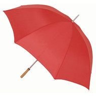 Rain Umbrella