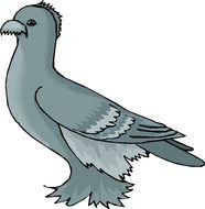 Feather Footed fancy Pigeon, Clip Art