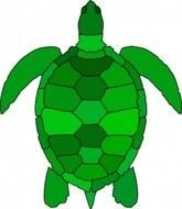 Turtle Clip Art N89