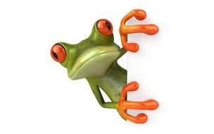 toad as a graphic illustration