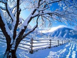 scenic countryside at sunny winter day