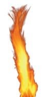 real fire flames on the white background