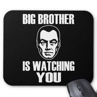 Big Brother Watching You N2