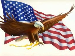 American Flag and Eagle, drawing