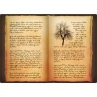 Open Book N5