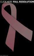 Related Pictures Pink Ribbon Breast Cancer Wallpaper Free Backgrounds