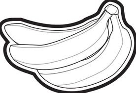 Black And White Banana N2