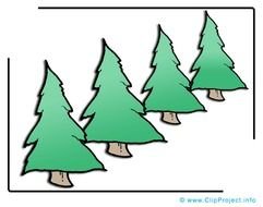 Related Pictures Free Clipart Image Of Badger