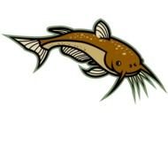 Cartoon Catfish N6