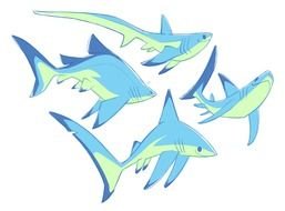 How To Draw A Awesome Shark