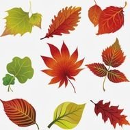 clip art with autumn leaves