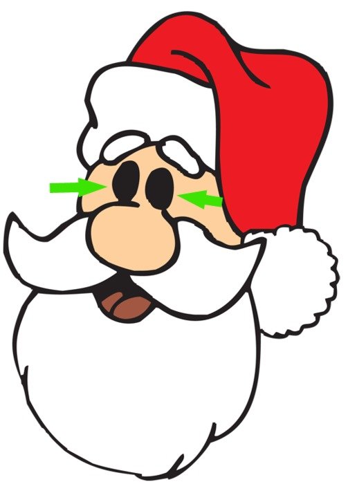 Cartoon Santa Claus Face N3
