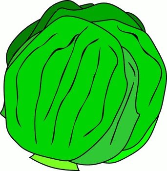 Lettuce Clip Art N38