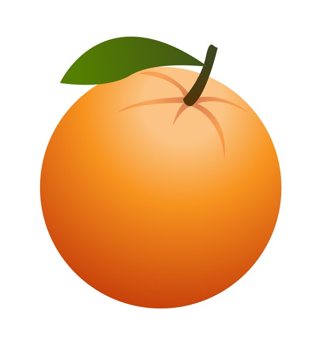 İllustration of Orange Fruit