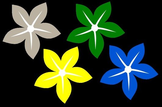 Colored Flower drawing
