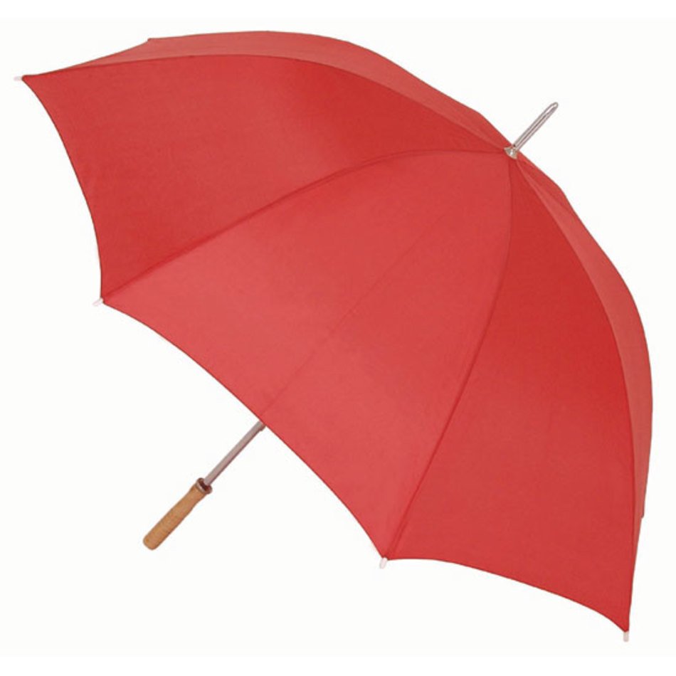 Rain Umbrella