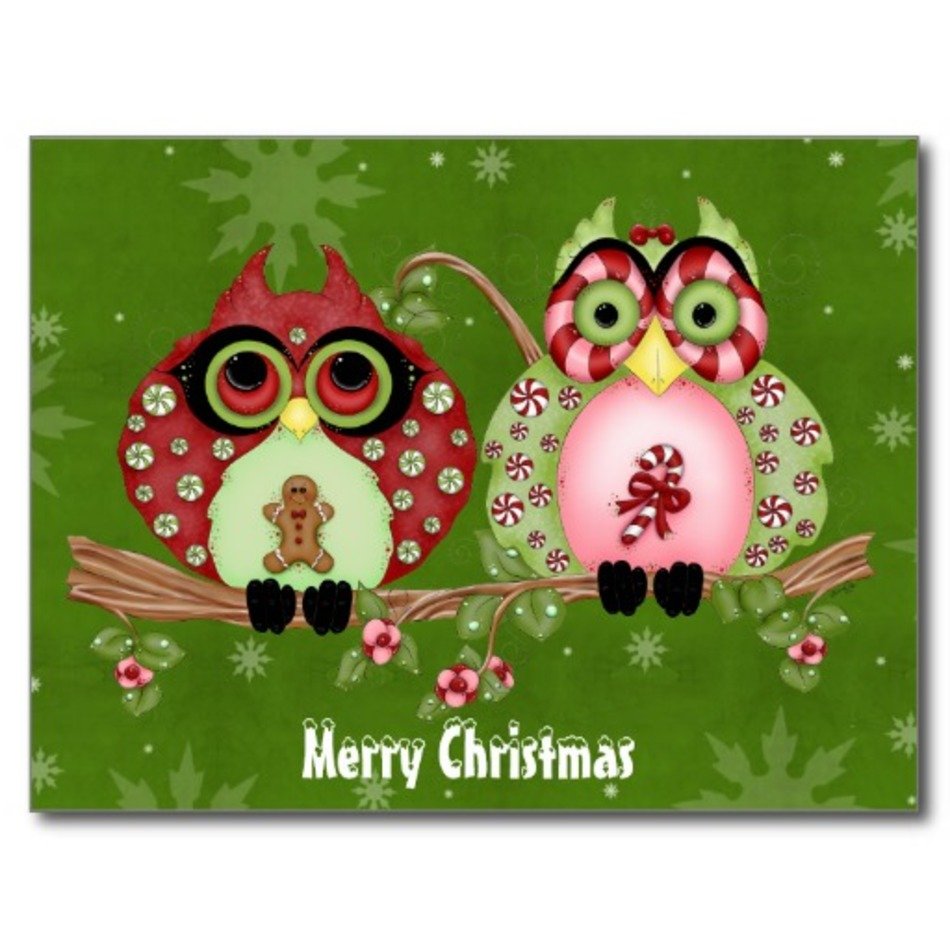 Merry Christmas Owl