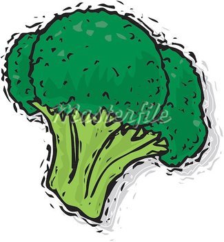 Broccoli Clip Art N21