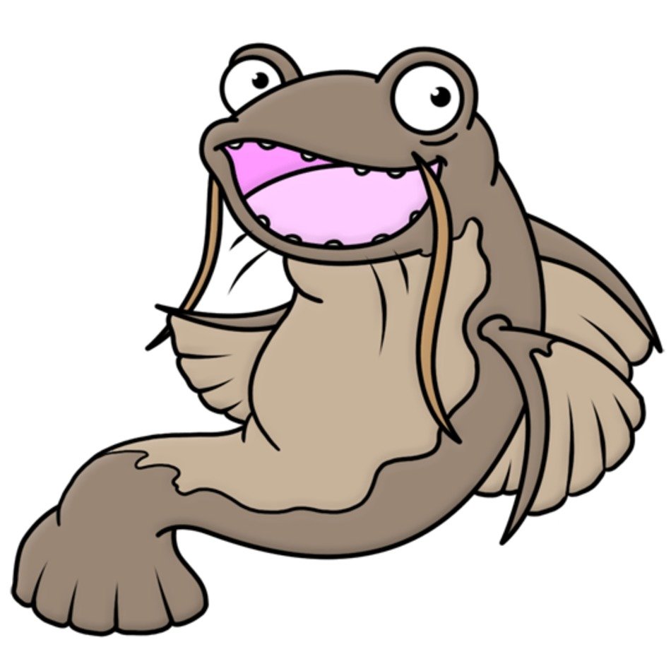 Cartoon Catfish Drawings N4