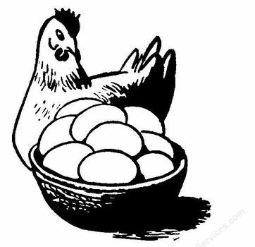 Chicken Egg Clip Art N11