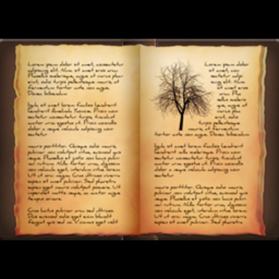 Open Book N5