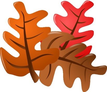 Cartoon Fall Leaves Clip Art N22