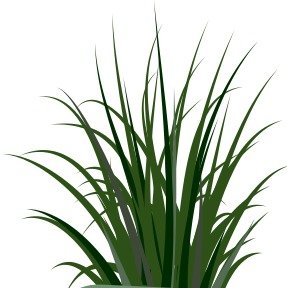 Grass Clip Art N72
