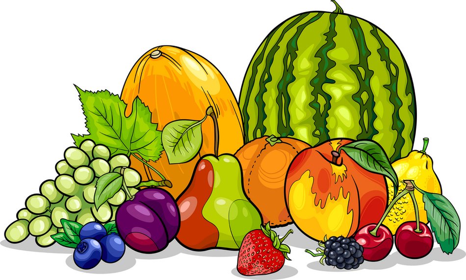 variety of beautiful fruits as a graphic illustration