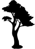 black tree silhouette on the white background