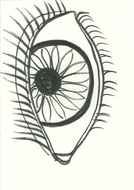 eye with eyelashes as a graphic illustration
