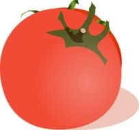 Tomato Clip Art N77