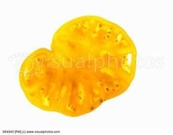Tomato Outline Clip Art