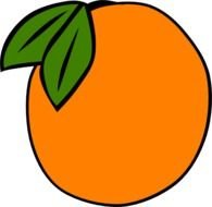 Orange Fruit Clip Art N39