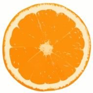Orange Fruit Cartoon Clip Art